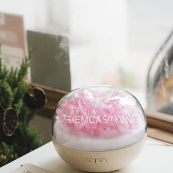 Máy xông tinh dầu Hoa Hồng