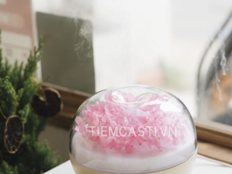 Máy xông tinh dầu Hoa Hồng